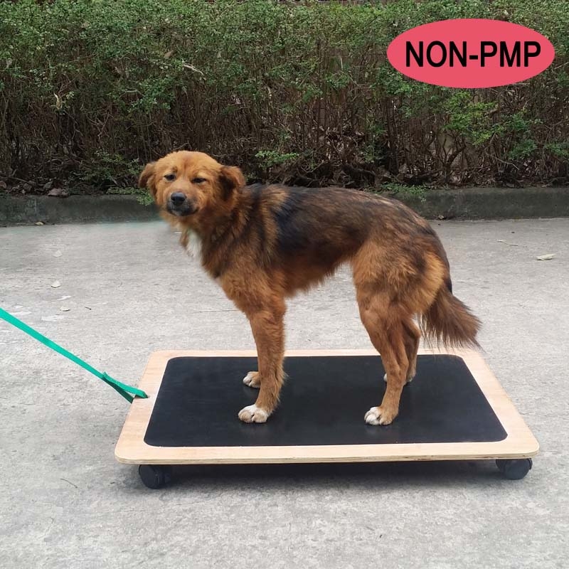 四輪滑動板 Fourwheel Sliding Board