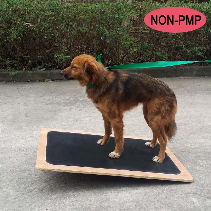 蹺板式擺動板 Seesaw Balance Board