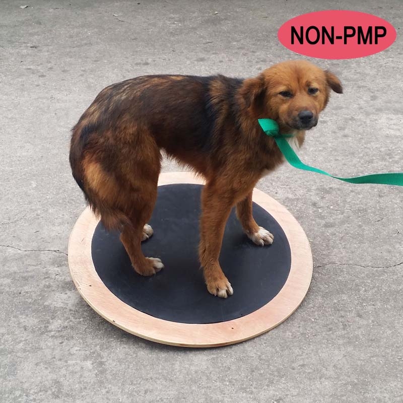 圓心式搖晃板 Round Balance Board