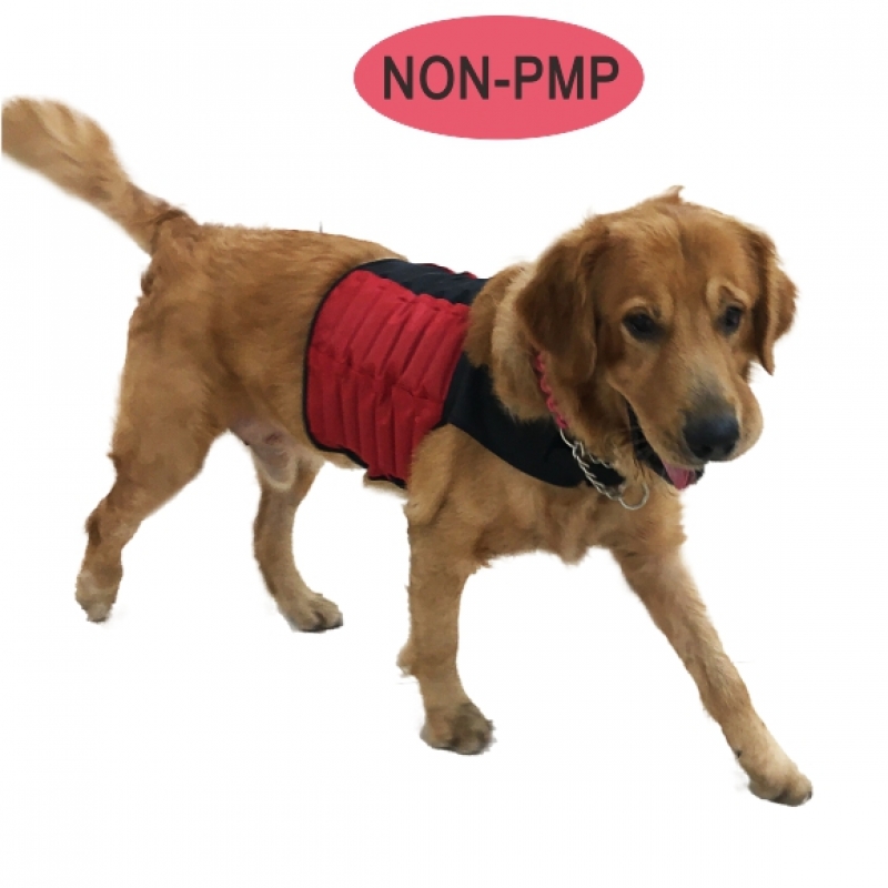 重力袋 Weighted Body Vest