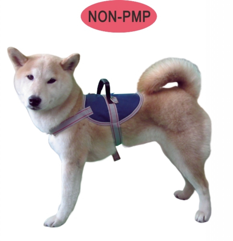 訓練用安全提帶 Handling Exercise Support