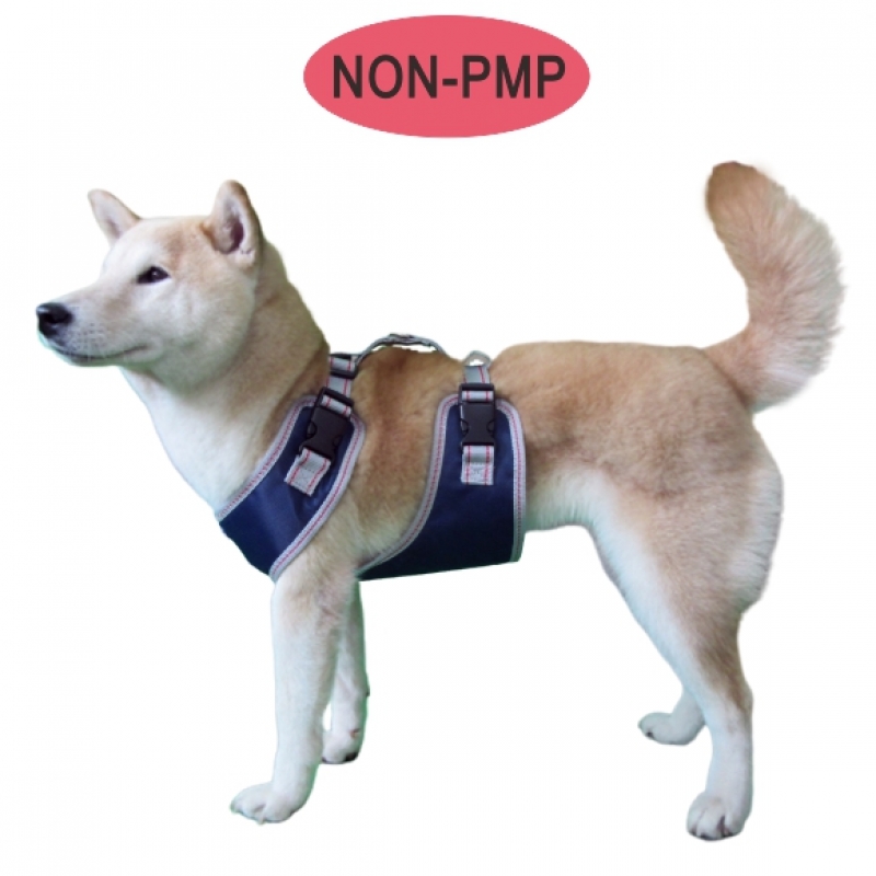 訓練用安全提帶 Handling Exercise Support